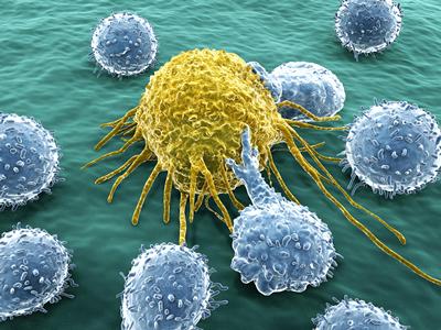 New cancer centre